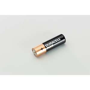 Alkaline Battery (2 pack)