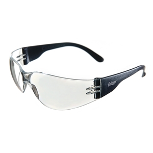 Dräger X-pect 8310 spectacle (clear) (x10)